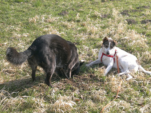 med_Mach Du weiter.jpg (600 x 450)